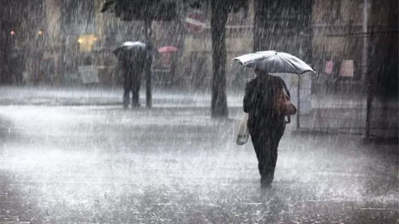 الأرصاد الجوية: أمطار غزيرة ورعدية على القاهرة مساء الجمعة المقبل ..فيديو