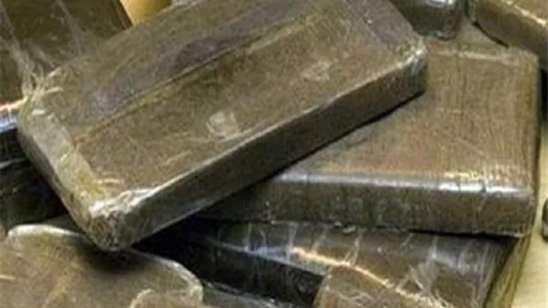 ضبط اكثر من 5 اطنان من مخدر الحشيش في المغرب