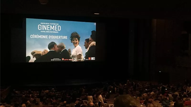 رغم حظر التجوال في فرنسا .. زحام في السينما بسبب مونبلييه