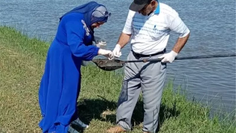 إختتام فاعليات حملة القضاء على البلهارسيا بالشرقية وجمع القواقع بترعة السلام.. بالصور