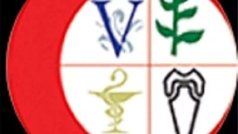 زيادة إعانة الوضع للطبيبات من 500 إلى 1000 جنيه