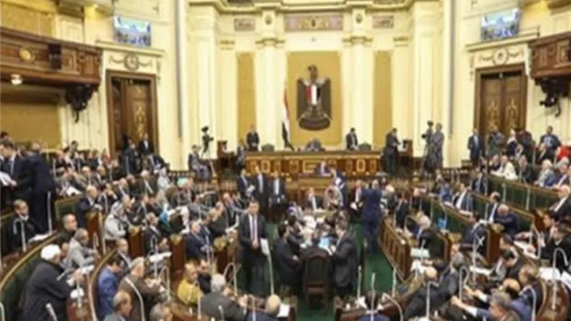 برلمانى : مشاركة المصريين فى الانتخابات صفعة قوية على وجوه اصحاب دعوات مقاطعتها