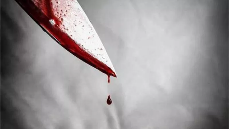 تفاصيل جديدة فى جريمة ذبح شقيقين بالشرابية