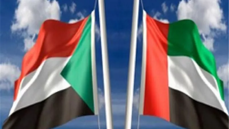 الامارات ترسل 68 ألف طن قمح إلى السودان