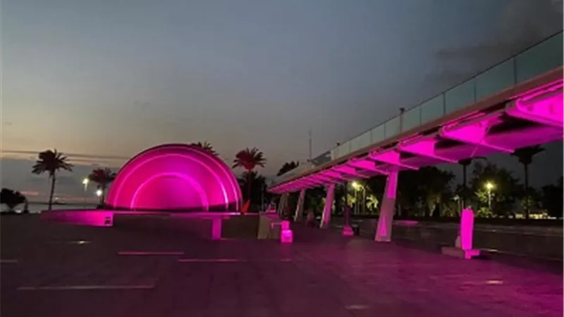 إضاءة مكتبة الإسكندرية لمحاربة مرض سرطان الثدي 
