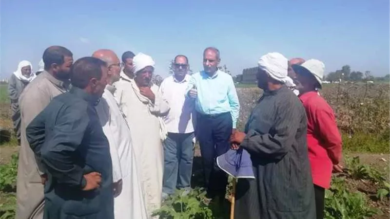 زراعة الشرقية تنفذ مدرسة حقلية إرشادية عن زراعة محصول البنجر