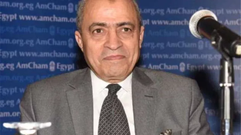 المالية: الحبس والغرامة لمن يمتنع عن تقديم الإقرار الضريبي خلال هذه المدة