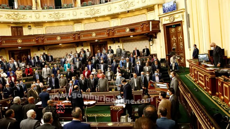 البرلمان يقف دقيقة حداد على روح النائبة مني منير