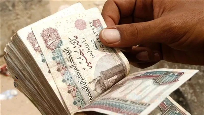 تفاصيل الزيادات المالية الجديدة للمعلمين في 10 نقاط