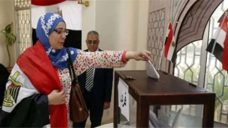 الاثنين والثلاثاء.. الخارجية تدعو المصريين فى الخارج لطبع وملء بطاقتى الاقتراع