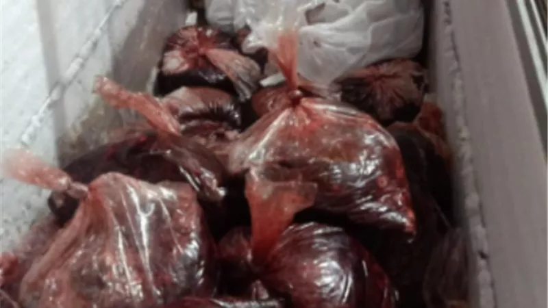 ضبط 163 طن لحوم ودواجن واسماك غير صالحة و218 مركزا مخالفا