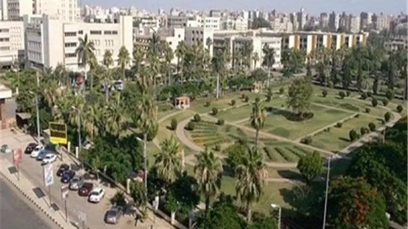 جامعة المنصورة تحقق المركز الثاني في المشروع القومي لمحو الأمية