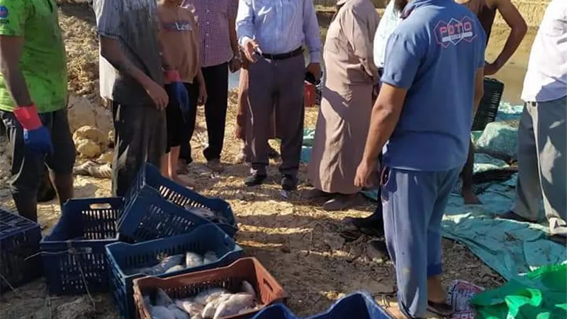 توفير منافذ لبيع أسماك طازجة بأسعار مخفضة بقرية الهنداو فى الوادى الجديد