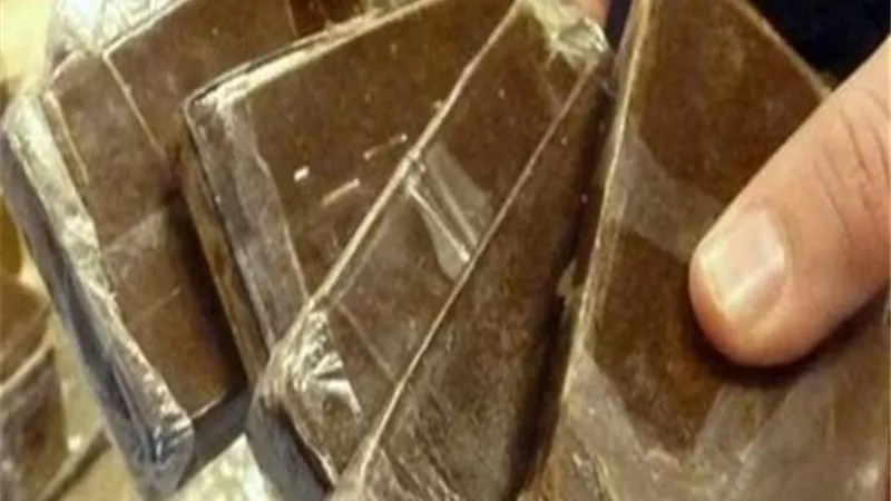 سقوط تاجرة مخدرات وبحوزتها حشيش بمليون جنية