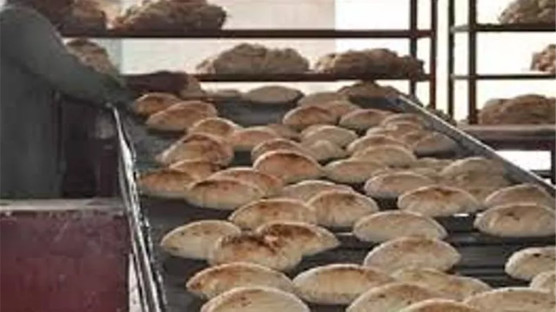 محافظ قنا يوجه بتشديد الرقابة على المخابز