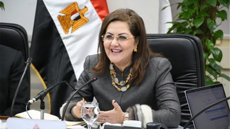إنشاء بنك الكتاب و٦مسارح متنقلة.. التخطيط تستعرض الخدمات الثقافية بخطة 20/2021