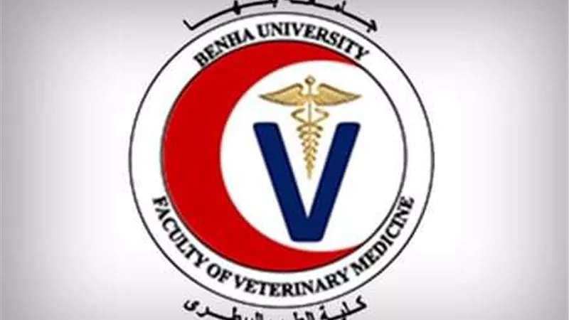 بالأسماء .. القائمة المبدئية للمرشحين لعمادة كلية الطب البيطري بجامعة بنها