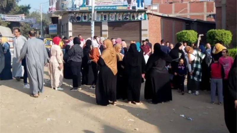 السيدات يتمسكن بحقهن الانتخابى ويتصدرن المشهد
