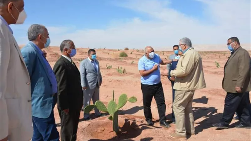 وزيرا الزراعة والرى يتفقدان أول مشروع لانتاج أغلى الزيوت العالمية بالوادى الجديد