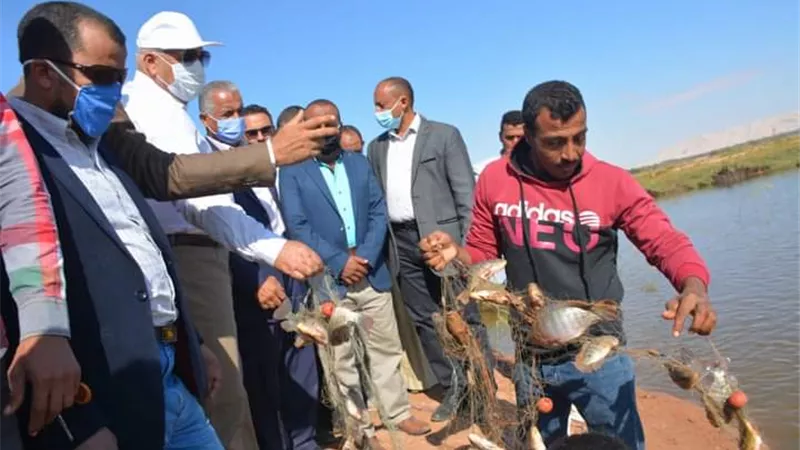 تحويل المصارف الزراعية لمشروعات سمكية بالوادى الجديد