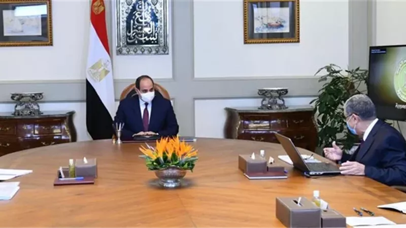السيسى يوجه بالتوسع في مشروعات توليد الكهرباء من مصادر الطاقة الجديدة والمتجددة