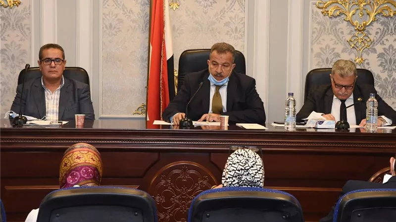 رئيس صحة النواب : قانون صندوق مواجهة الطوارئ الطبية لا يحمل المواطنين اي اعباء و يواجه الامراض الوبائية و الكوارث الطبيعية