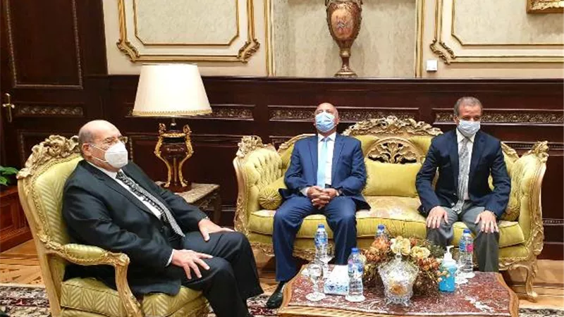 رئيس الشيوخ يستقبل الفريق كامل الوزير