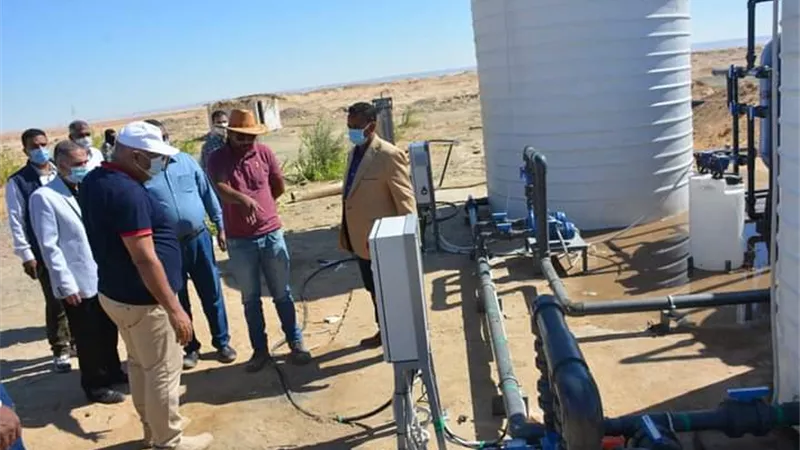 زراعة سياج شجرى من ١٦٠٠ ماهوجنى حول المجمعات الحكومية والحدائق بالوادى الجديد