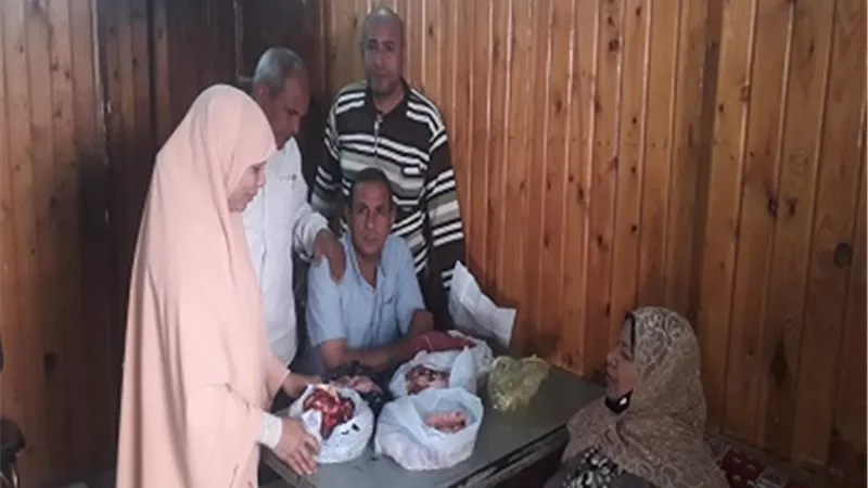 مديرية الطب البيطري تضبط 7 مخالفات ذبح خارج المجازر الحكومية بنجع حمادي ونقادة