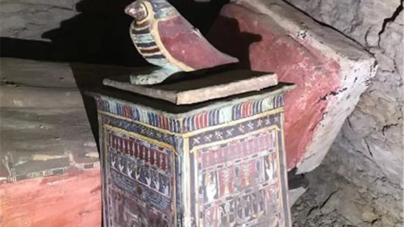 اليوم ..الاثار تعلن عن اكبر كشف اثرى بسقارة