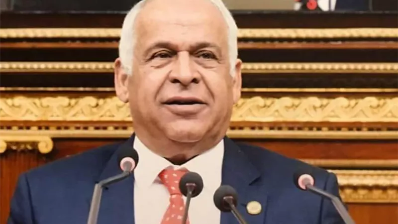 فرج عامر : العلاقات المصرية الصينية نموذج متفرد يجب ان يسود بين مختلف دول العالم