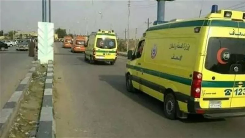 مصرع شخصين دهستهما سيارة نقل ببنى سويف