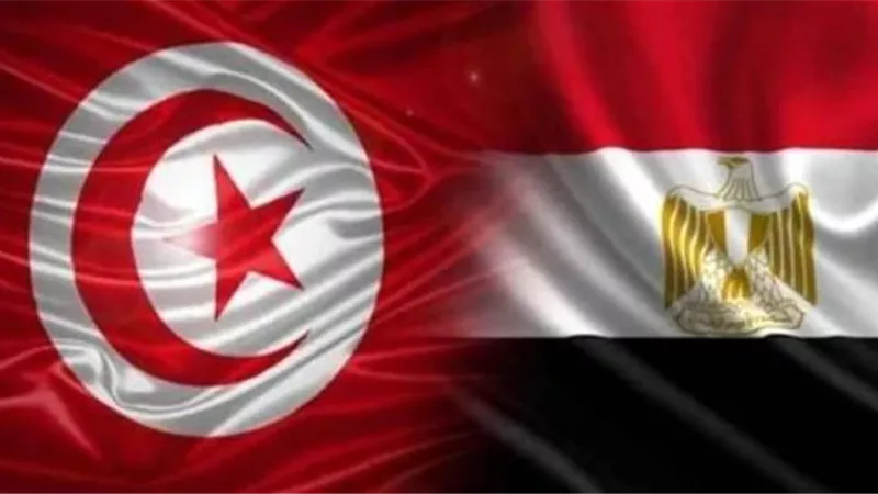 التمثيل التجاري: دراسة إنشاء بنك مصري تونسي لتسهيل المعاملات بين البلدين