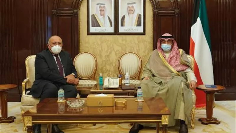 وزير الخارجية يبحث مع رئيس وزراء الكويت سبل دفع مجالات التعاون الثنائى وتبادل الرؤى