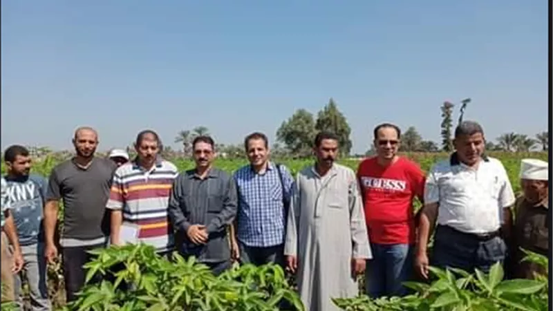 المدارس الحقلية في أسبوع