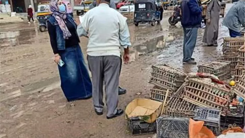 حملات مكبرة لفض الأسواق العشوائية و رفع الاشغالات ببلطيم .صور