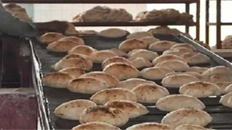 تعرف على تفاصيل خطة تحويل 30 ألف مخبز بلدي للعمل بالغاز الطبيعى.. فيديو