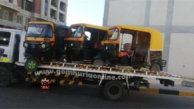 ضبط 291 فى حملة موسعة
