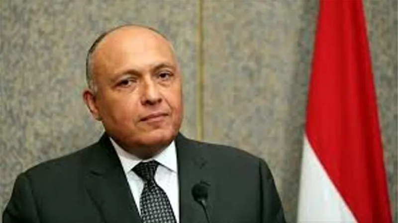 مصر تُدين الاعتداء على طاقم طبي تابع للهلال الأحمر الإماراتي في مدينة تعز