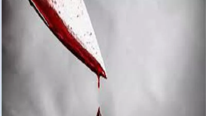 نحرت أمى وأخويا ضربنى قتلته أنا الكبير.. اعترافات صادمة للمتهم بجريمة حدائق الأهرام