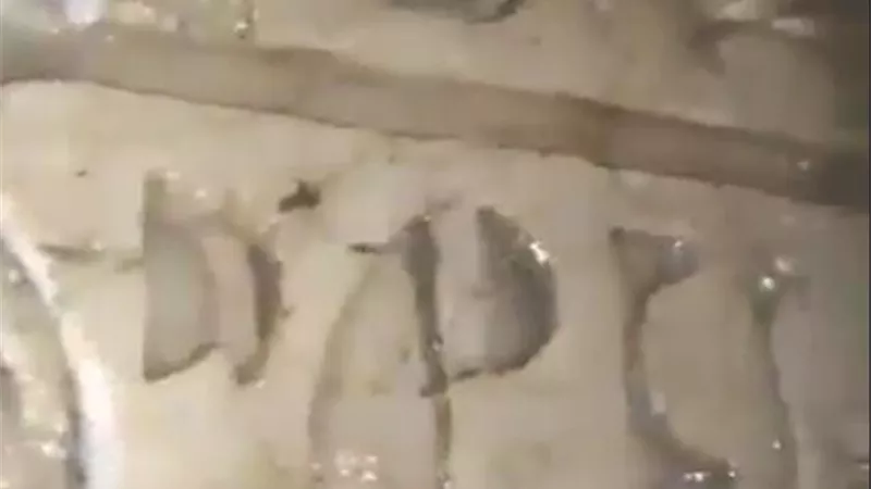 ضبط مواطن بالبهنسا أثناء تنقيبه عن الآثار أسفل منزله