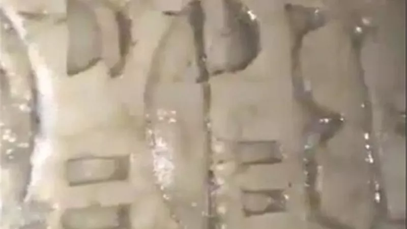 ضبط مواطن أثناء تنقيبه عن الآثار أسفل منزله بالمنيا