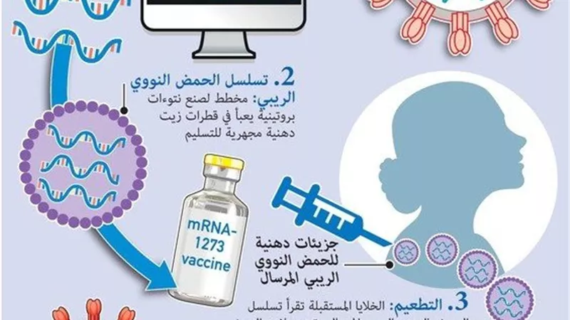 بالانفوجراف ...تعرف على كيفية عمل لقاحى فايزر وموديرنا