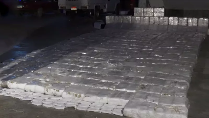 ضبط شحنة 2.5 طن حشيش بقيمة 200 مليون جنيه قبل تهريبها للخارج.. فيديو