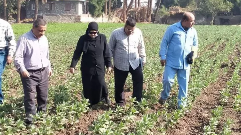 وكيل وزارة الزراعة باسيوط تتفقد الحقول الإرشادية للفول البلدى والقمح فى مركز الفتح.. بالصور