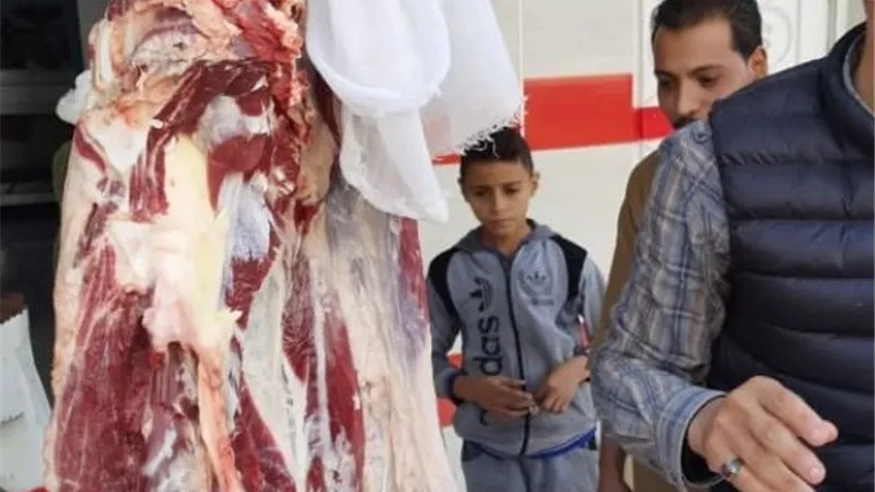 ضبط لحوم مذبوحة خارج المجزر و255 كيلو لحوم مجهولة المصدر فى بنى سويف.. بالصور