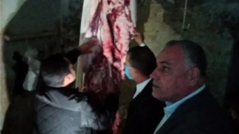 ضبط 280 كيلو لحوم وأسماك مملحة غير صالحة للاستهلاك الآدمي بكفر الشيخ