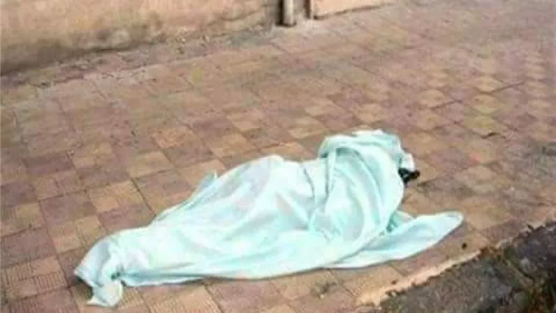 مصرع طفل سقط من أعلي عربية كارو بالدقهلية