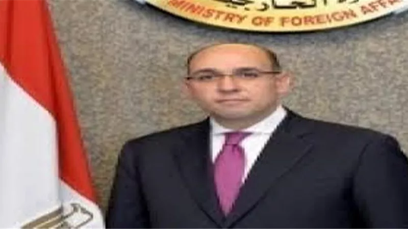 الخارجية: حرية العمل الاهلى مكفولة.. والدولة تحترم مبدأى سيادة القانون والمساواة
