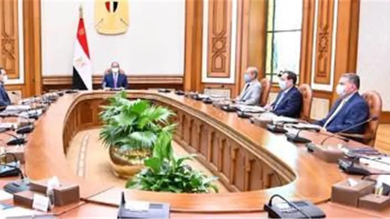 الرئيس يوجه بالإسراع في توطين صناعة السيارات التي تعمل بالطاقة الجديدة